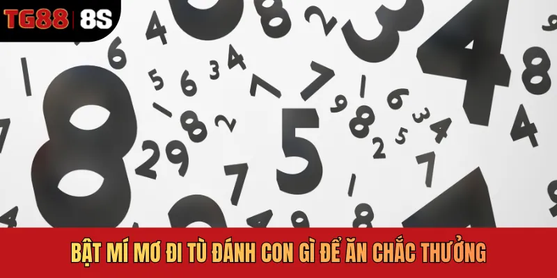 Bật mí mơ đi tù đánh con gì để ăn chắc thưởng