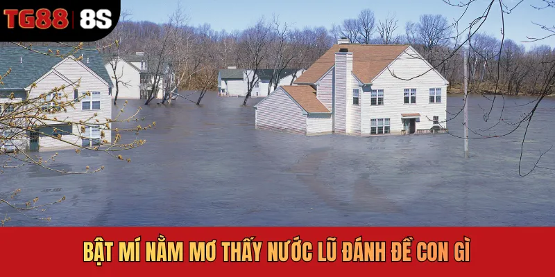Bật mí nằm mơ thấy nước lũ đánh đề con gì