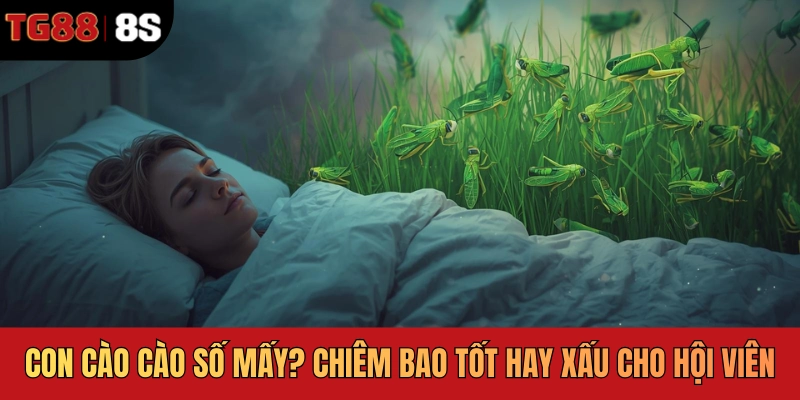 Con Cào Cào Số Mấy? Chiêm Bao Tốt Hay Xấu Cho Hội Viên TG88