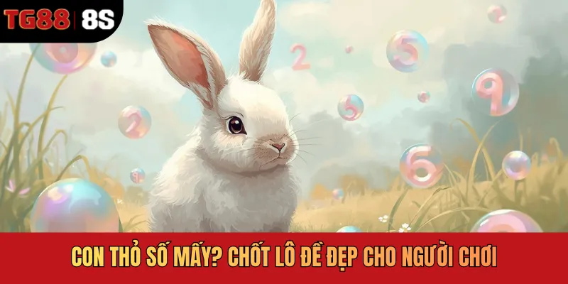Con thỏ số mấy? Chốt lô đề đẹp cho người chơi