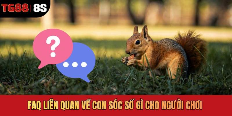 FAQ liên quan về con sóc số gì cho người chơi 