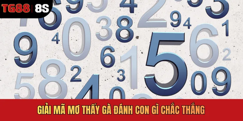 Mơ Thấy Gà Đánh Con Gì - Luận Giải Chiêm Bao Chi Tiết 2026