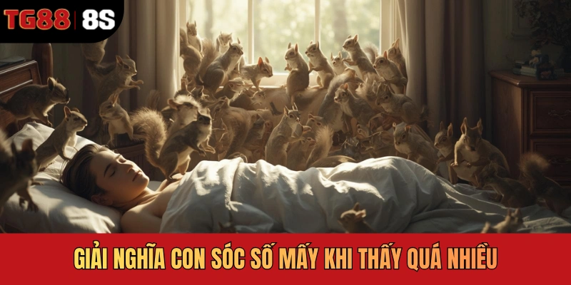 Giải nghĩa con sóc số mấy khi thấy quá nhiều
