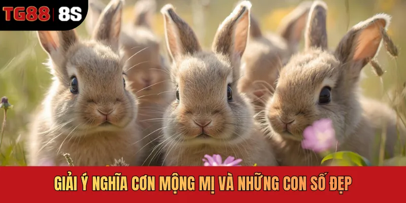 Giải ý nghĩa cơn mộng mị và những con số đẹp