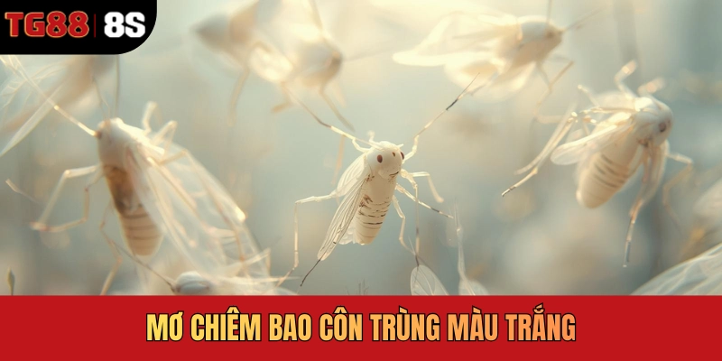 Mơ chiêm bao côn trùng màu trắng