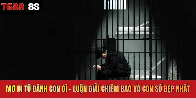 Mơ Đi Tù Đánh Con Gì - Luận Giải Chiêm Bao Và Con Số Đẹp Nhất