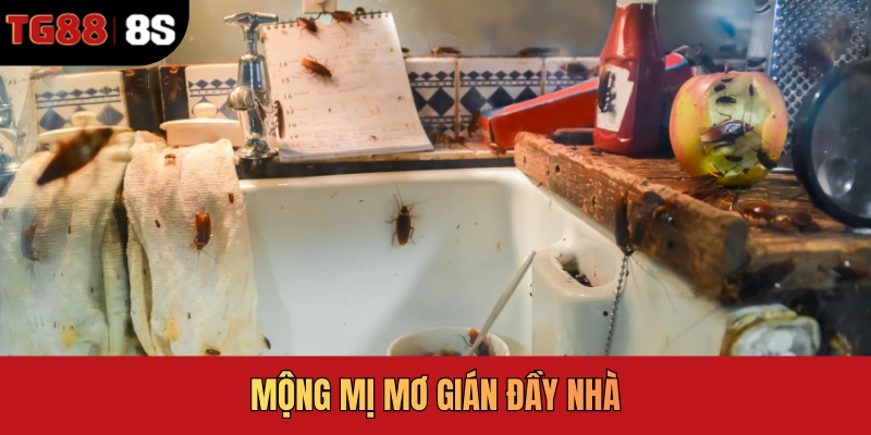 Mộng mị mơ gián đầy nhà