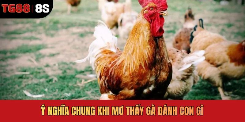 Ý nghĩa chung khi mơ thấy gà đánh con gì
