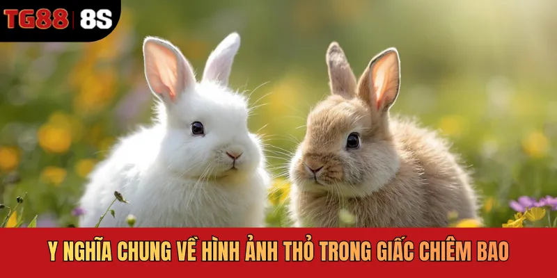 Ý nghĩa chung về hình ảnh thỏ trong giấc chiêm bao