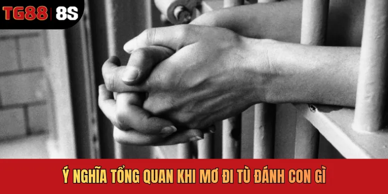 Ý nghĩa tổng quan khi mơ đi tù đánh con gì